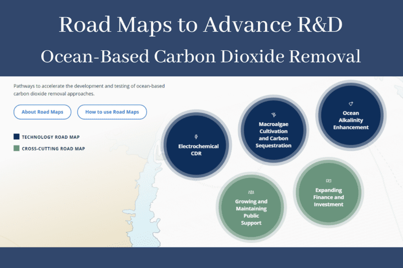 Ocean Visions  Advancing Solutions for Ocean-Climate Restoration