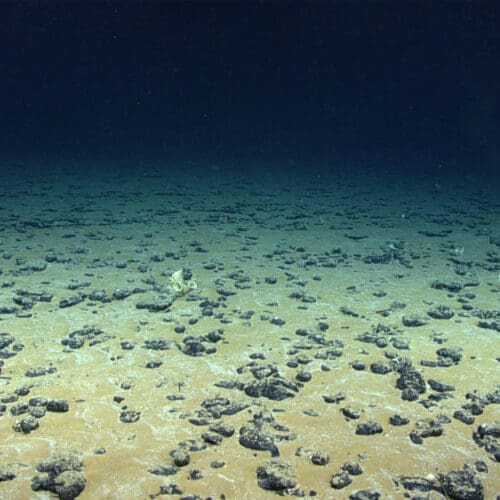 Deep Sea Storage