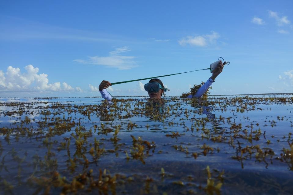 Launchpad Pairs Expert Advisors with Innovators to Advance Ocean-Based Climate Solutions