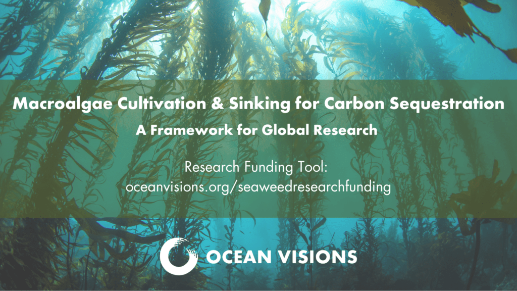 New Funding Tool Available for Seaweed Researchers