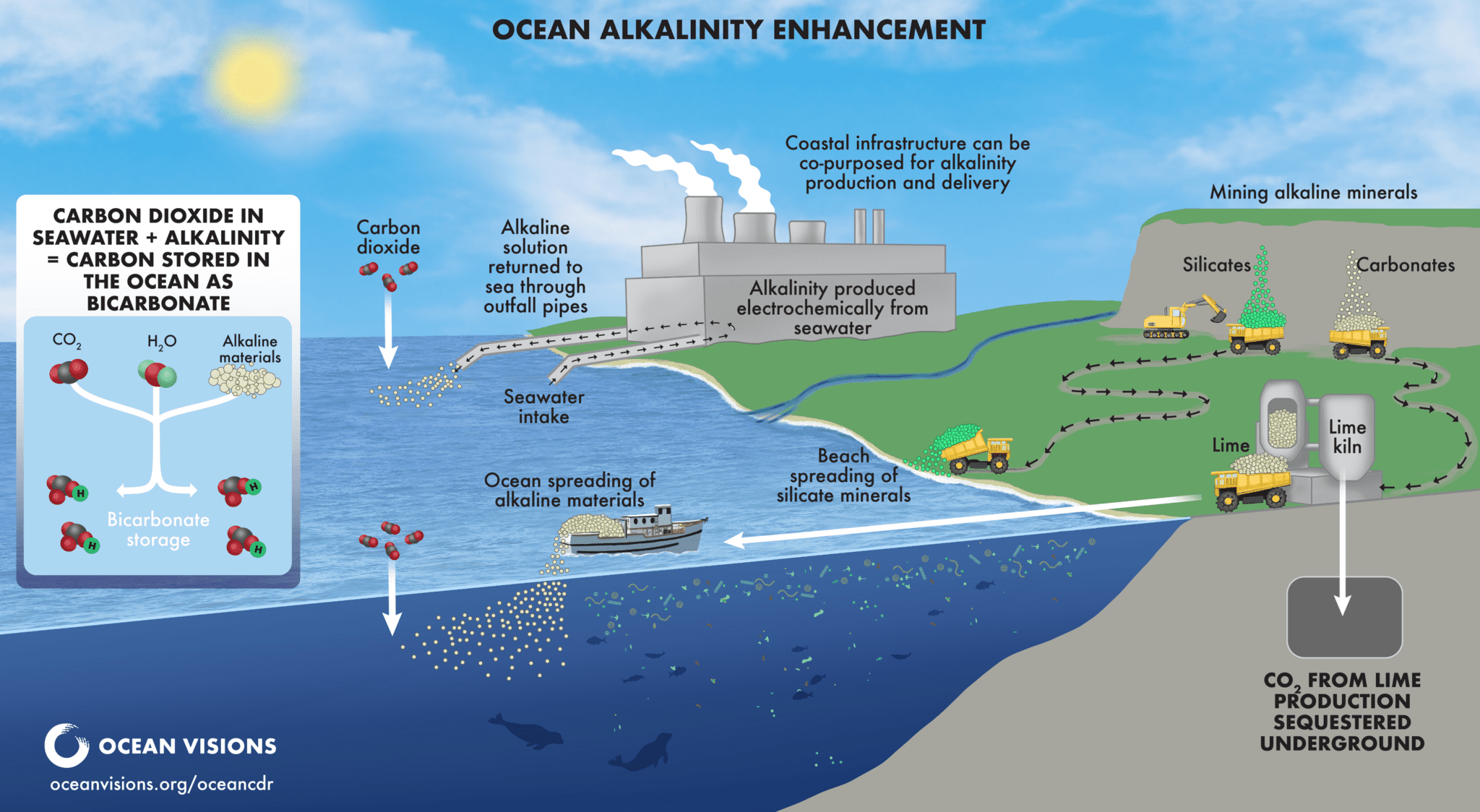 Ocean Visions Ocean Alkalinity Enhancement