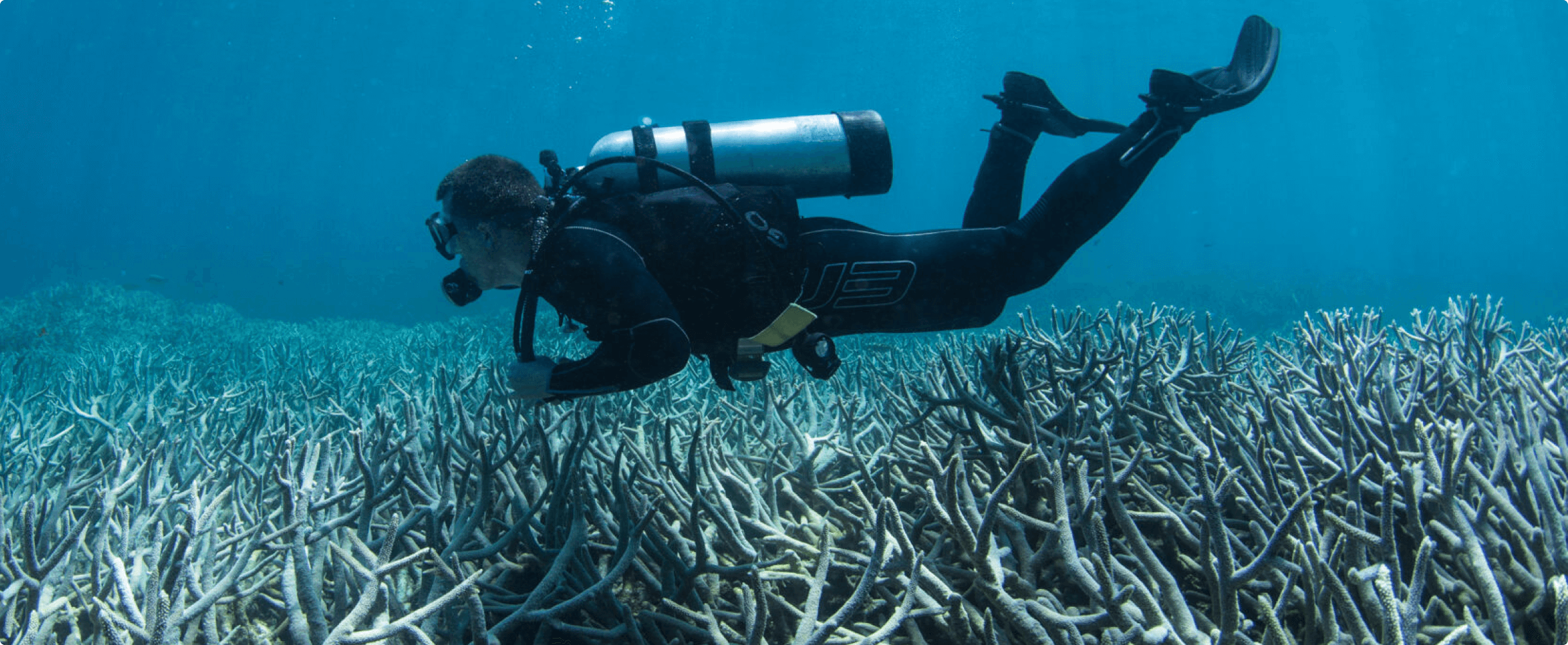 Scuba diver above sea floor