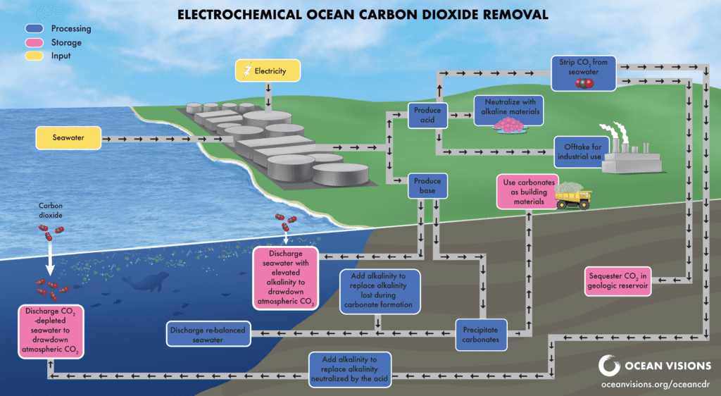 Electrochemical Ocean Carbon Dioxide Removal