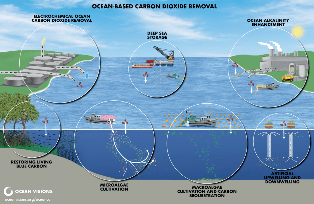 Ocean Based Carbon Dioxide Removal