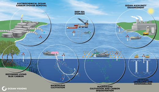 Ocean Visions  Marine Carbon Dioxide Removal Resources